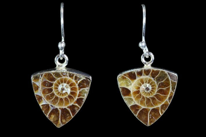 Fossil Ammonite Earrings - Sterling Silver #81633
